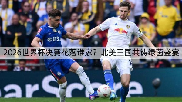 详细阅读:2026世界杯决赛花落谁家?北美三国共铸绿茵盛宴 2026世界杯决赛花落谁家?北美三国共铸绿茵盛宴